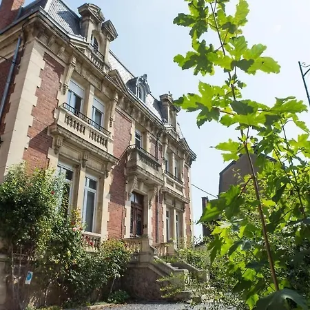Le Clos Belle Rose Et La Roseraie Haybes