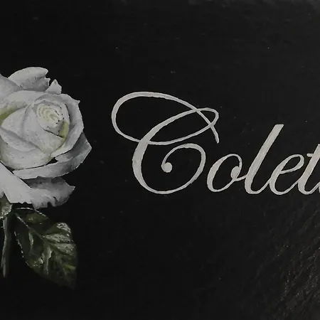 Le Clos Belle Rose Et La Roseraie Haybes